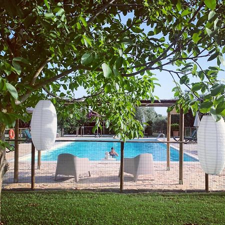 Agriturismo Il Puntoncino Marsiliana Eksteriør billede