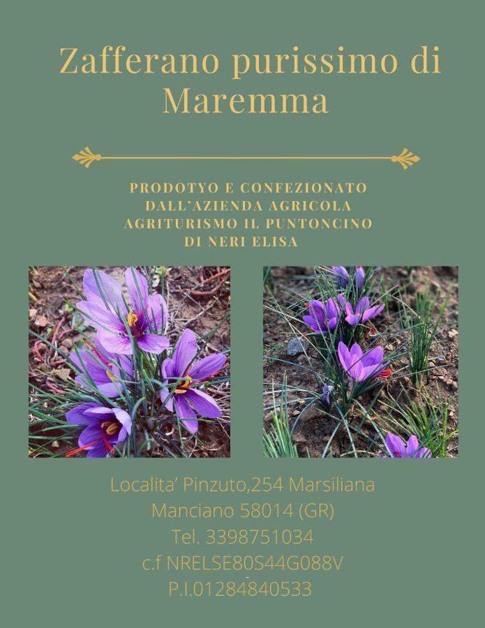Agriturismo Il Puntoncino Marsiliana Eksteriør billede